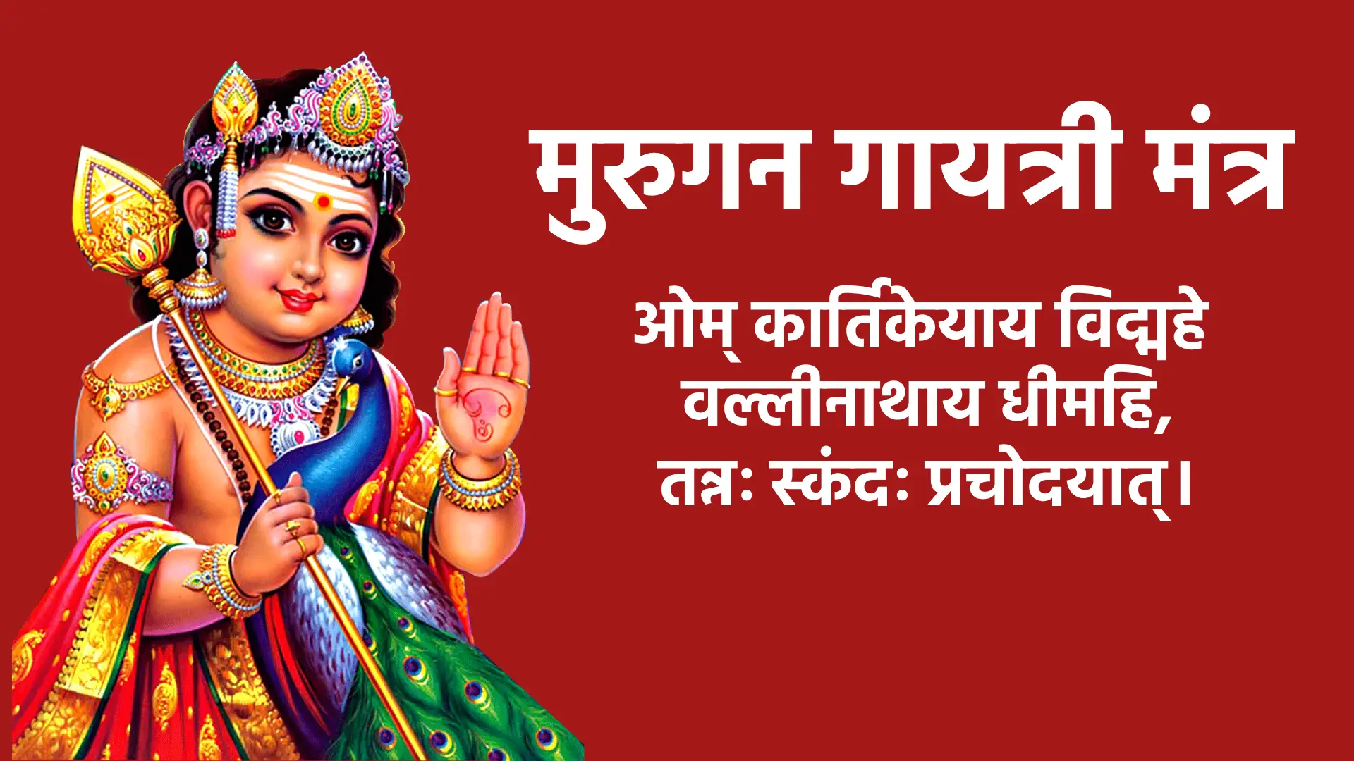 Murugan Gayatri Mantra ओम् कार्तिकेयाय विद्महे वल्लीनाथाय धीमहि, तन्नः स्कंदः प्रचोदयात्।